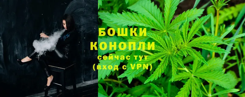 Каннабис Bruce Banner  Новопавловск 